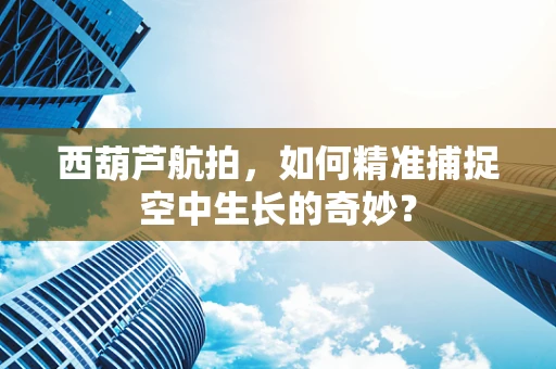 西葫芦航拍，如何精准捕捉空中生长的奇妙？