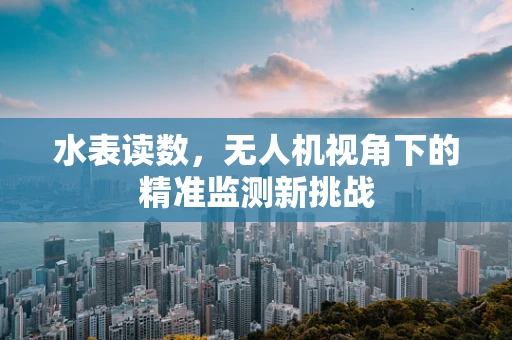 水表读数，无人机视角下的精准监测新挑战
