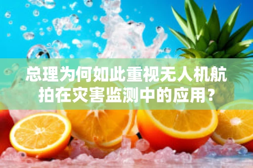 总理为何如此重视无人机航拍在灾害监测中的应用？