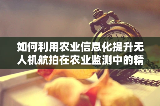 如何利用农业信息化提升无人机航拍在农业监测中的精准度？