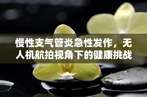 慢性支气管炎急性发作，无人机航拍视角下的健康挑战