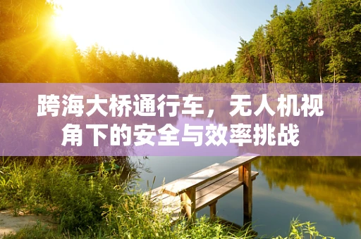跨海大桥通行车，无人机视角下的安全与效率挑战