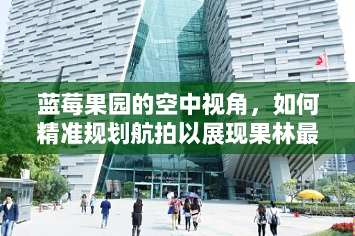 蓝莓果园的空中视角，如何精准规划航拍以展现果林最佳状态？