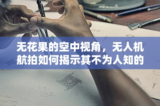 无花果的空中视角，无人机航拍如何揭示其不为人知的秘密？