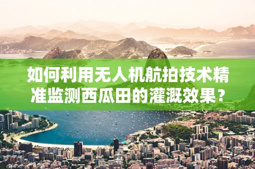 如何利用无人机航拍技术精准监测西瓜田的灌溉效果？