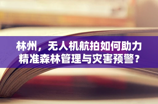 林州，无人机航拍如何助力精准森林管理与灾害预警？